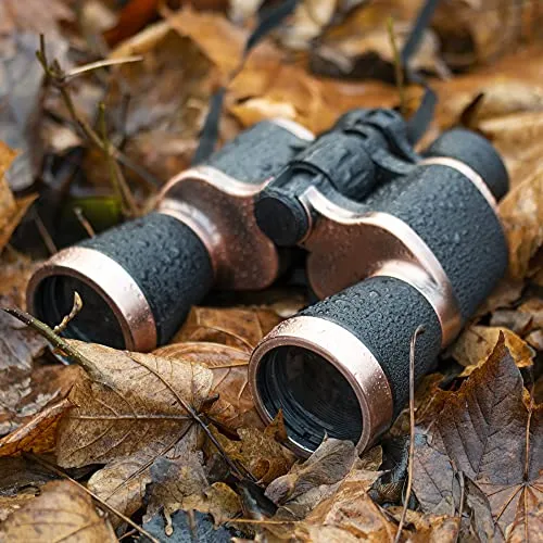 20x50 Binoculars High Power Binoculars for Adults with Low Night Vision Waterproof Compact Binoculars for Bird Watching Hunting Hiking Traveling Outdoor, Phone Adapter Strap and Case