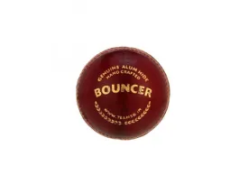 SG Cricket Ball Bouncer